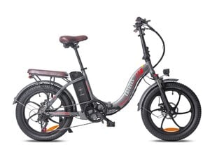 Elektriskais velosipēds FAFREES F20 Pro, 20", pelēks, 250W, 18Ah цена и информация | Электровелосипеды | 220.lv