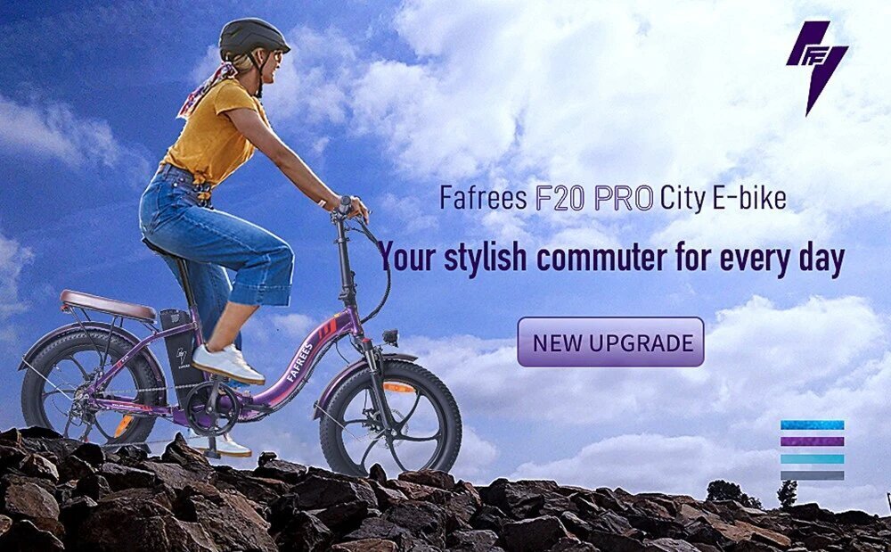 Elektriskais velosipēds FAFREES F20 Pro, 20", pelēks, 250W, 18Ah cena un informācija | Elektrovelosipēdi | 220.lv
