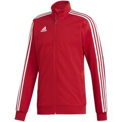 Мужской свитер Adidas Tiro 19 M D95953, красный цена и информация | Мужская спортивная одежда | 220.lv