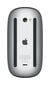 Apple Magic Mouse - Black Multi-Touch Surface - MMMQ3ZM/A cena un informācija | Peles | 220.lv