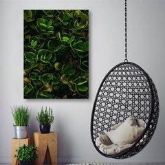 Glezna uz audekla, Eksotisku augu zaļās lapas cena un informācija | Gleznas | 220.lv