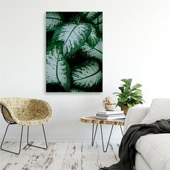 Glezna uz audekla, Tropiskās lapas baltas un zaļas cena un informācija | Gleznas | 220.lv