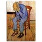 Glezna uz audekla, Vecs vīrs skumjās - V. van Goga reprodukcija цена и информация | Gleznas | 220.lv