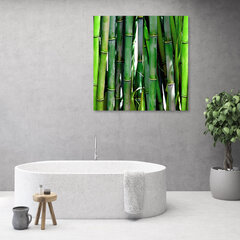 Glezna uz audekla, Zaļais bambuss cena un informācija | Gleznas | 220.lv