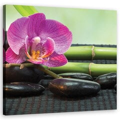 Печать холста, орхидея на черных камнях 29,99 цена и информация | Картины | 220.lv