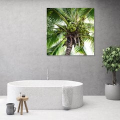Glezna uz audekla, Kokosriekstu palma cena un informācija | Gleznas | 220.lv