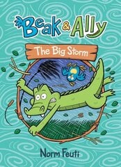 Beak & Ally #3: The Big Storm cena un informācija | Grāmatas pusaudžiem un jauniešiem | 220.lv