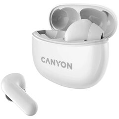 Canyon TWS-5 White CNS-TWS5W цена и информация | Наушники с микрофоном Asus H1 Wireless Чёрный | 220.lv