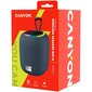 Canyon BSP-8 CNE-CBTSP8G cena un informācija | Skaļruņi | 220.lv