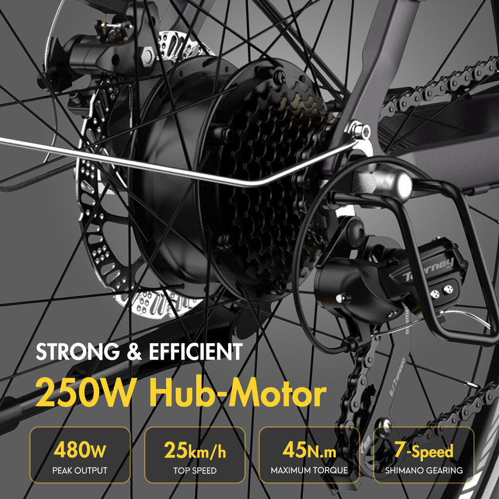 Elektriskais velosipēds FAFREES F28 Pro, 27.5", zils, 250W, 14.5Ah cena un informācija | Elektrovelosipēdi | 220.lv