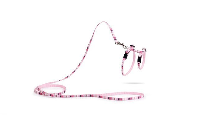 Krūšu siksna kaķiem Beeztees Joy, 15-33x120 cm, rozā cena un informācija | Pavadas, apkakles, siksnas kaķiem | 220.lv