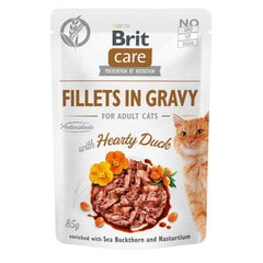 Brit Care Fillets in gravy ar pīli, 24 x 85 g cena un informācija | Konservi kaķiem | 220.lv