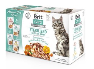 Корм Brit Care с разными вкусами, 12х85г цена и информация | Консервы для котов | 220.lv