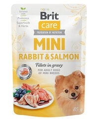 Brit Care Care Mini Adult Pouch mazo šķirņu suņiem, ar trusi un lasi, 24x85g цена и информация | Консервы для собак | 220.lv