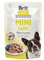 Brit Care Mini Adult Pouch mazo šķirņu suņiem, ar jēru, 24x85 g cena un informācija | Konservi suņiem | 220.lv