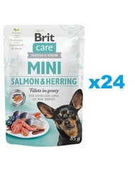 Brit Care Mini Pouch kastrētiem mazu šķirņu suņiem ar lasi un siļķi, 24x85g цена и информация | Консервы для собак | 220.lv