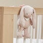 Mini muzikālais trusītis Nattou Pomme, 23 cm cena un informācija | Rotaļlietas zīdaiņiem | 220.lv