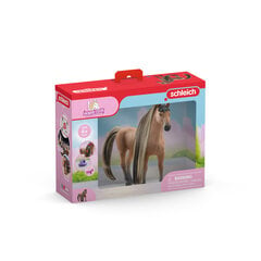 Фигурка Schleich Beauty Horse Tekkiner цена и информация | Игрушки для мальчиков | 220.lv