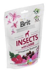 Brit Care Insects suņiem ar jēru, 200g cena un informācija | Gardumi suņiem | 220.lv