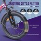 Elektriskais velosipēds FAFREES F20 Pro, 20", violets, 250W, 18Ah cena un informācija | Elektrovelosipēdi | 220.lv