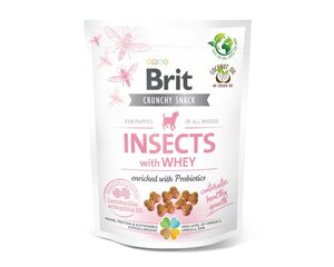 Brit Care Dog Puppy Insect с насекомыми и пробиотиками, 200 г цена и информация | Лакомства для собак | 220.lv
