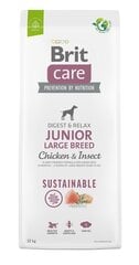 Сухой корм для собак BRIT Care Dog Sustainable Junior Large Breed Chicken & Insect, 12 кг цена и информация | Brit Товары для животных | 220.lv