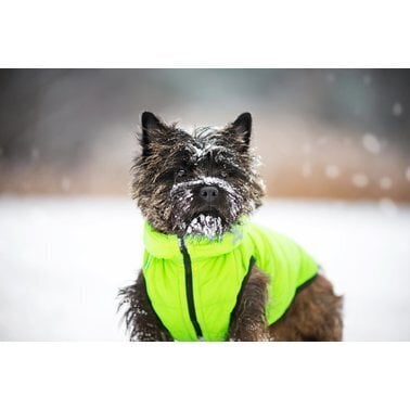 Jaka suņiem Collar AiryVest, dažādi izmēri, dzeltena/melna cena un informācija | Apģērbi suņiem | 220.lv