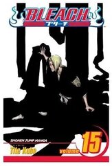 Манга в мягкой обложке Viz Bleach, том 15 цена и информация | Комиксы | 220.lv