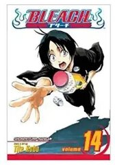 Viz Bleach Vol. 14 cena un informācija | Komiksi | 220.lv