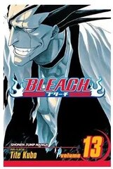 Манга в мягкой обложке Viz Bleach, том 13 цена и информация | Комиксы | 220.lv