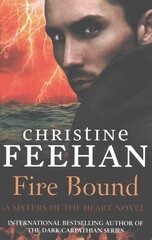Fire Bound cena un informācija | Fantāzija, fantastikas grāmatas | 220.lv