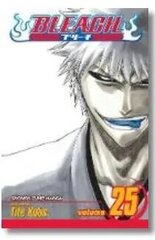 Манга в мягкой обложке Viz Bleach, том 25 цена и информация | Комиксы | 220.lv