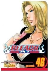 Viz Bleach Vol. 46 cena un informācija | Komiksi | 220.lv