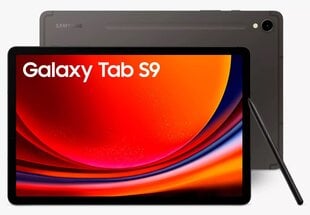 Samsung Galaxy Tab S9 WiFi Graphite SM-X710NZAAEUB cena un informācija | Planšetdatori | 220.lv