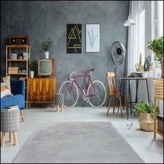 Bellarossa ковер grey 50x80 cm цена и информация | Ковры | 220.lv