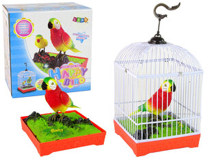 Dziedošs papagailis ar būri Lean Toys cena un informācija | Attīstošās rotaļlietas | 220.lv