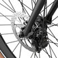 Elektriskais velosipēds FAFREES F1-38C, 27", balts, 250W, 8,7Ah cena un informācija | Elektrovelosipēdi | 220.lv