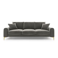Četrvietīgs dīvāns Velvet Larnite, 237x102x90 cm, gaiši pelēks cena un informācija | Dīvāni | 220.lv
