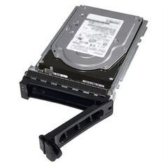 Dell 161-BBPH цена и информация | Внутренние жёсткие диски (HDD, SSD, Hybrid) | 220.lv