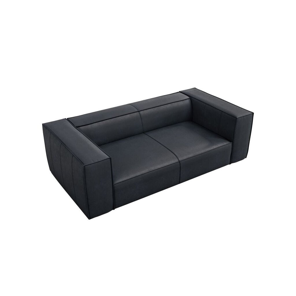 Divvietīgs ādas dīvāns Agawa, 211x100x68, zils cena un informācija | Dīvāni | 220.lv