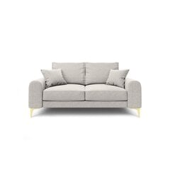 Divvietīgs dīvāns Larnite, 172x102x90 cm, gaiši pelēks cena un informācija | Dīvāni | 220.lv