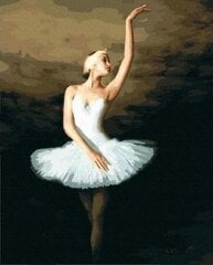 Картина по номерам Twoje Hobby Грустная балерина, 40х50 см цена и информация | Живопись по номерам | 220.lv