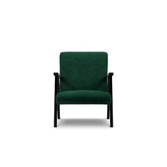 Krēsls Browne, 79x59x78 cm, zaļš цена и информация | Кресла в гостиную | 220.lv