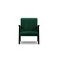 Krēsls Browne, 79x59x78 cm, zaļš cena un informācija | Atpūtas krēsli | 220.lv