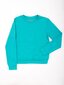 Džemperis, tirkīzs cena un informācija | Zēnu jakas, džemperi, žaketes, vestes | 220.lv