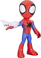 Figūra Hasbro Zirnekļcilvēks, 23 cm cena un informācija | Rotaļlietas zēniem | 220.lv