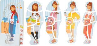 Izglītojoša koka puzle grūtniecības posmi Small Foot, 28 daļas цена и информация | Пазлы | 220.lv