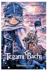 Tegami Bachi Vol. 3 cena un informācija | Komiksi | 220.lv