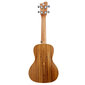 Koncertu ukulele Condorwood UC-2460 cena un informācija | Ģitāras | 220.lv