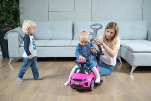 Stumjama bērna automašīna цена и информация | Игрушки для малышей | 220.lv